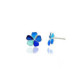 Pendientes de plata con esmalte