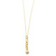 Collar de plata chapada