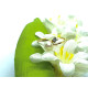 Anillo de oro amarillo con diamante y perla natural cultivada