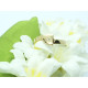 Anillo de oro amarillo con diamante