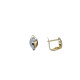Pendientes de oro amarillo y oro blanco con diamante