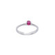 Anillo de oro blanco con rubí