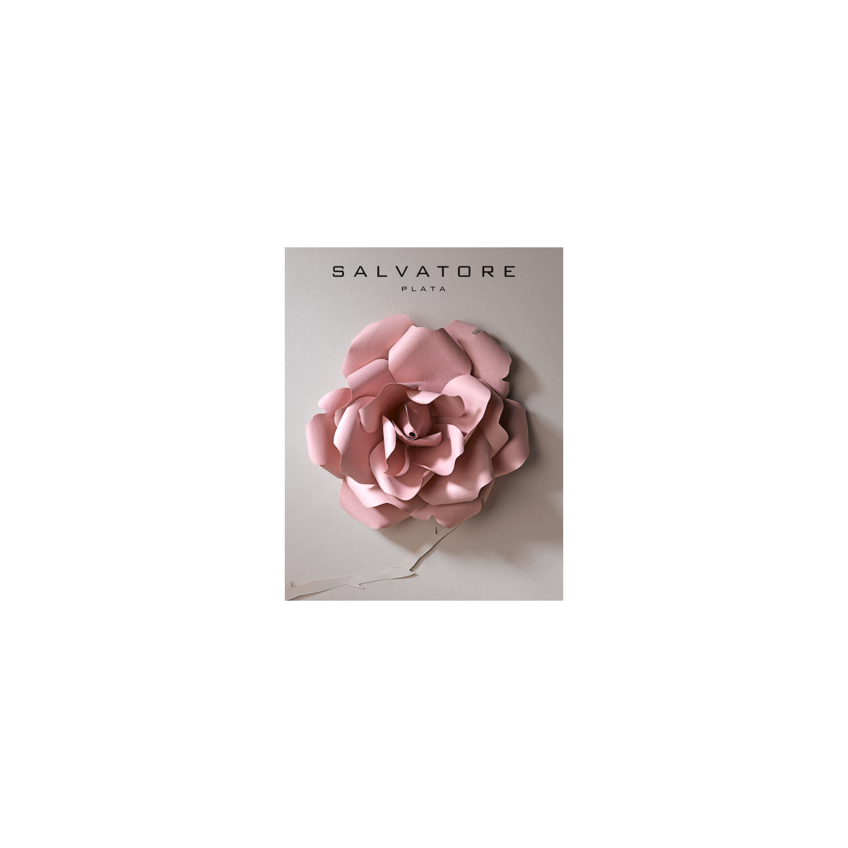 Pendientes de plata chapada con circonita rosa