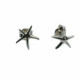Pendientes de plata con forma de estrella de mar Pendientes de plata con forma de estrella de mar