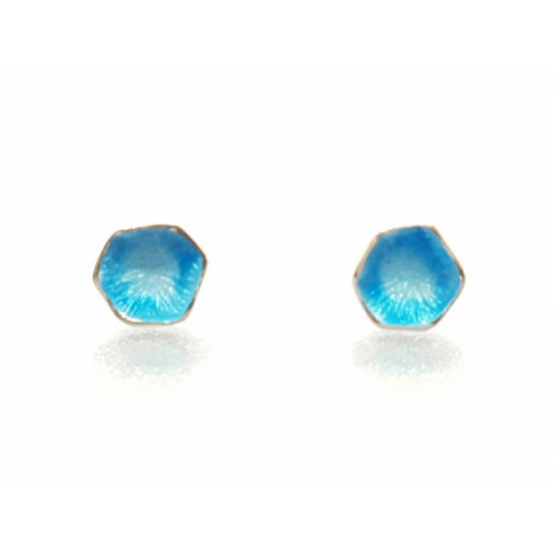 Pendientes de plata con esmalte