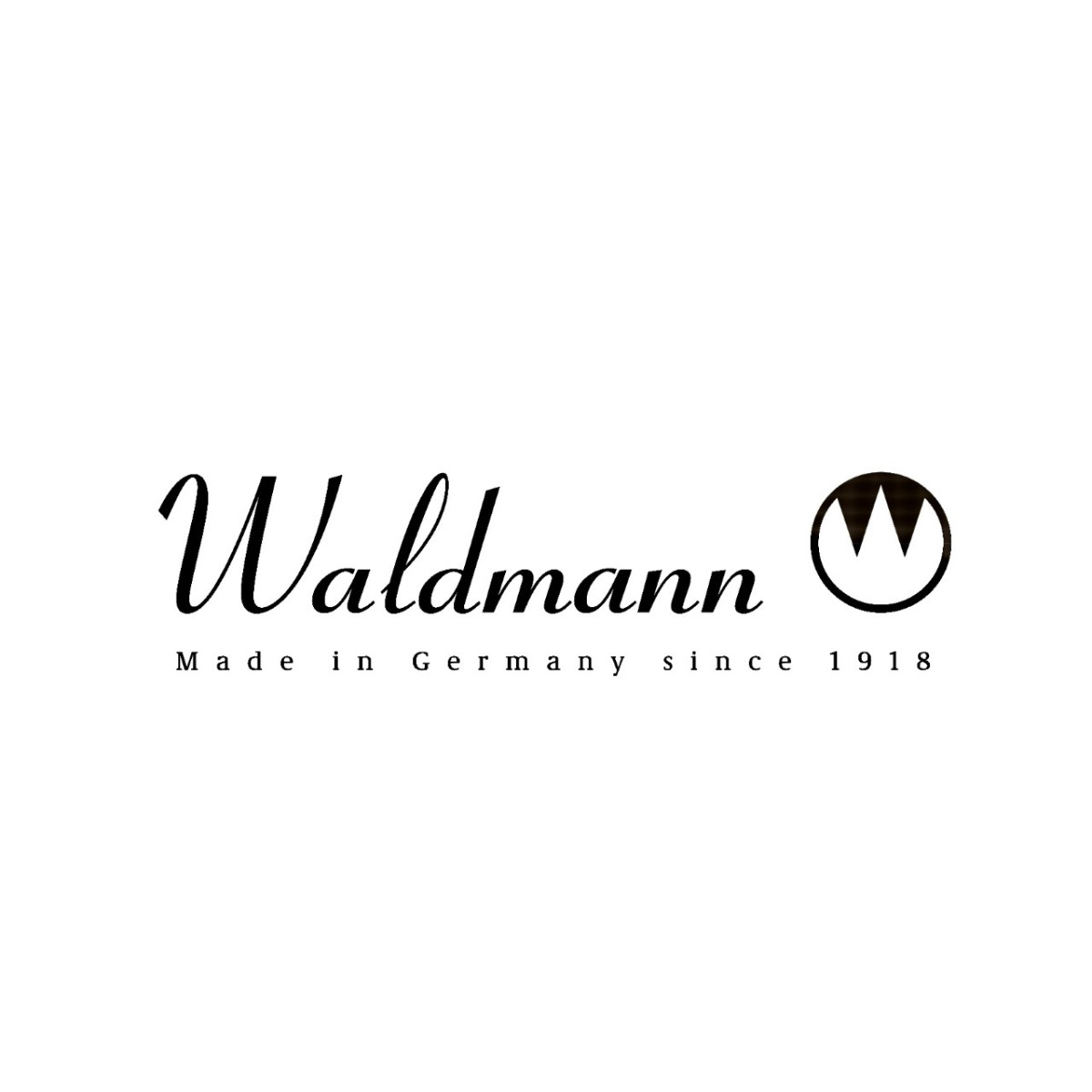 Rollerball de Plata WALDMANN