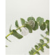 Pendientes de oro blanco y diamantes
