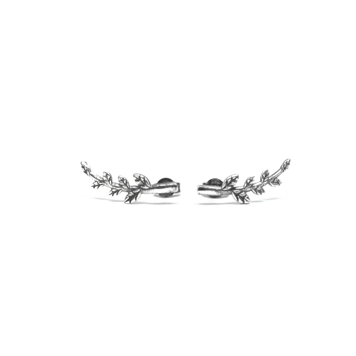 Pendientes trepadores de plata