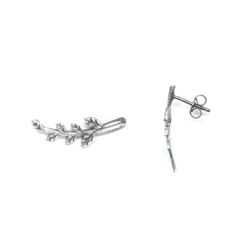 Pendientes trepadores de plata