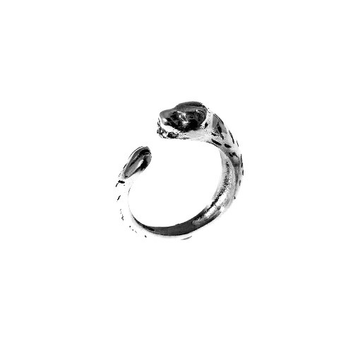 Anillo de plata