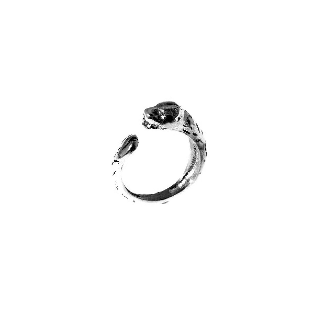 Anillo de plata