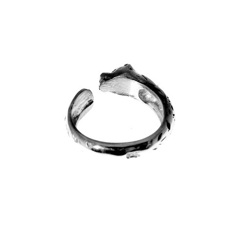 Anillo de plata
