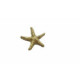 Colgante de oro amarillo con forma de estrella de mar