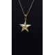 Colgante de oro amarillo con forma de estrella