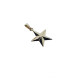 Colgante de oro amarillo con forma de estrella