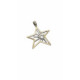 Colgante de oro amarillo con forma de estrella
