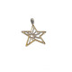 Colgante de oro amarillo con forma de estrella