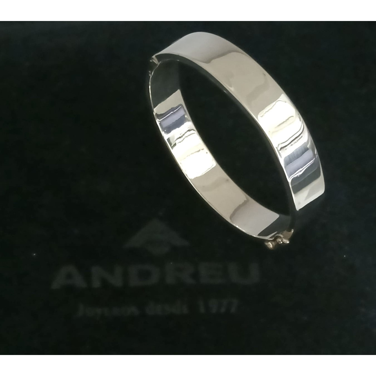Brazalete rígido de plata