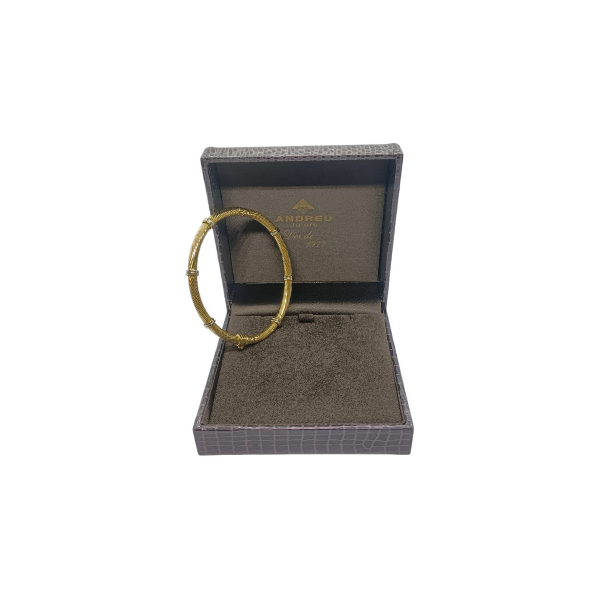 BRAZALETE RÍGIDO