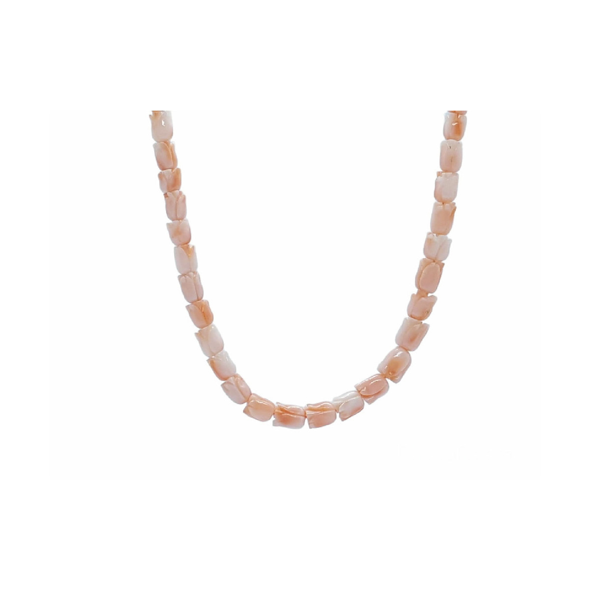 COLLAR CORAL